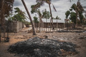 Krigsbrott av flera aktörer i Cabo Delgado